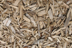 biomass boilers Trerose