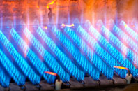 Trerose gas fired boilers